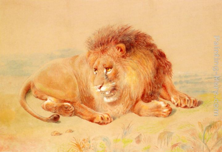 Lion painting - William Huggins Lion art painting